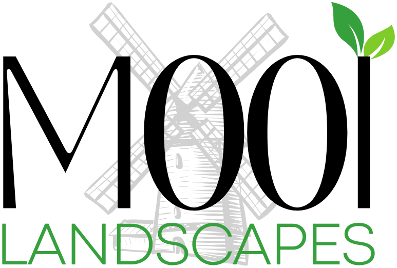Mooi Landscapes